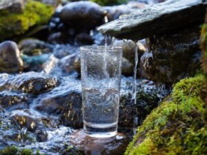 «Жива вода Карпат» (санаторії)