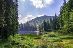 «СИНЕВИР та водоспад Шипот» 