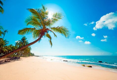 Dominicana