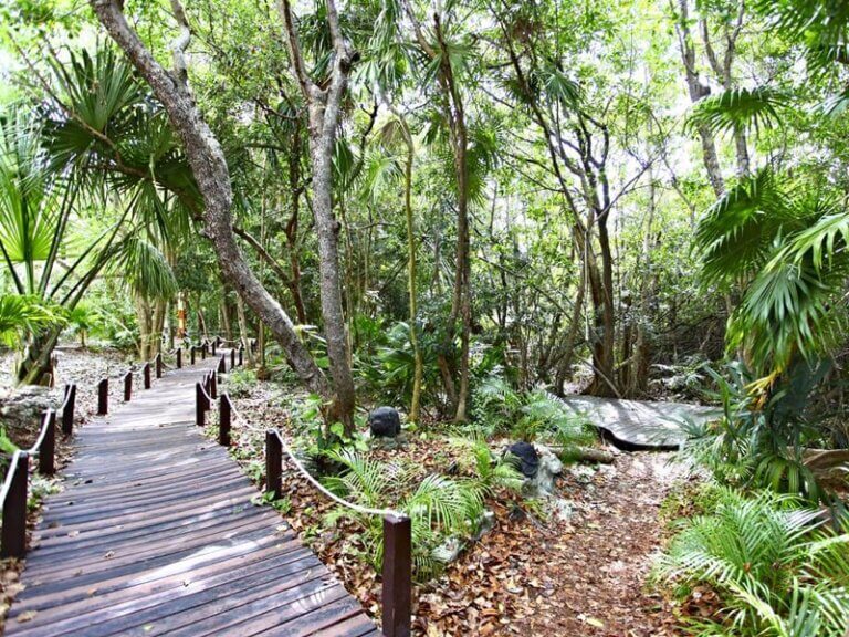 Sandos-Caracol-Eco-Experience-Resort-27