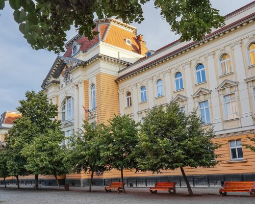 Палац Комітатського Суду м.Берегово (Педінститут)