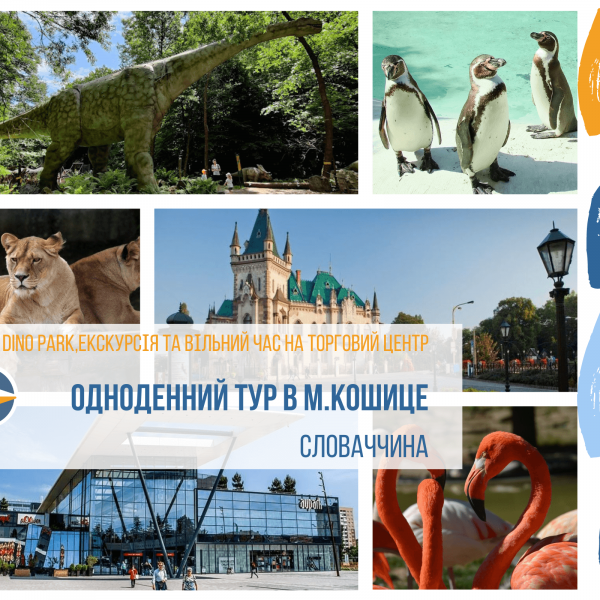 Тур в Кошице + Динопарк
