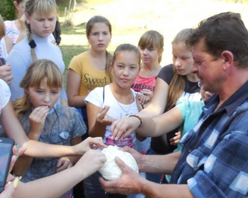 Свіжий сир Колочава