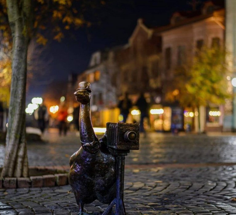 Гусак в Мукачево
