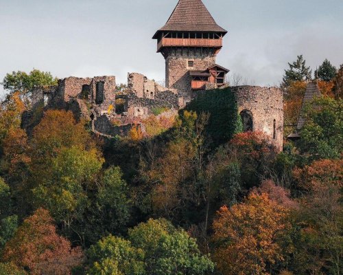 Невицький Замок
