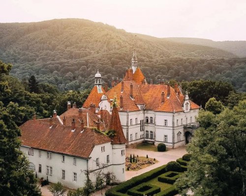 Палац Шенборна