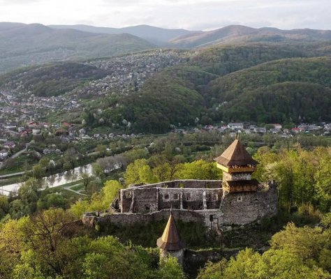 Невицький Замок