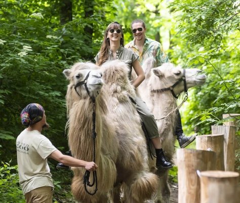 Ньїредьгаза, Зоопарк Sóstó ZOO