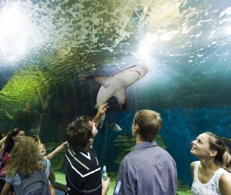 Ньїредьгаза, Зоопарк Sóstó ZOO
