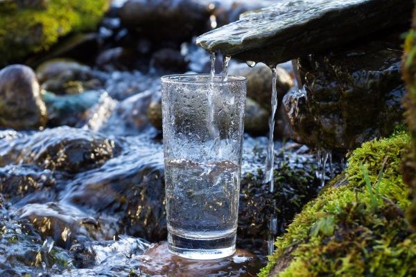 «Жива вода Карпат» (санаторії)