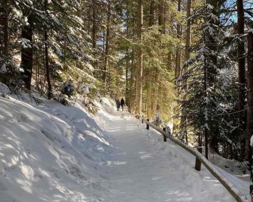 Стежка на озері Синевир